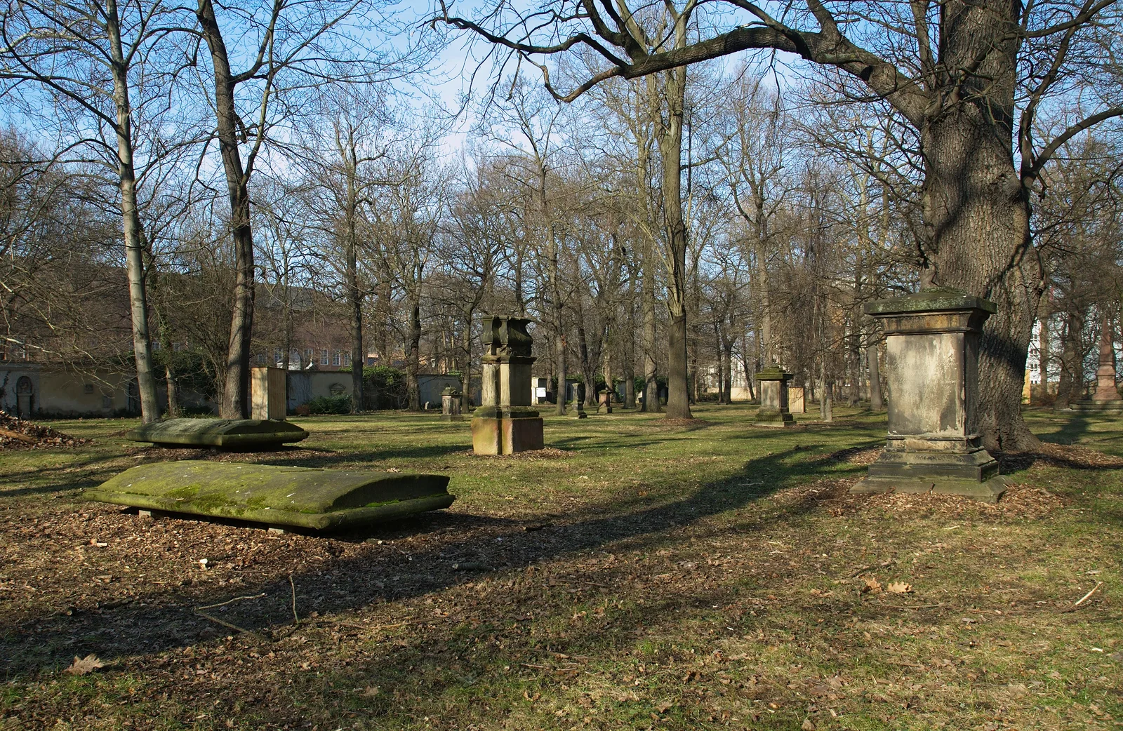 Gräber und alte Bäume auf dem Alten Johannisfriedhof in Leipzig